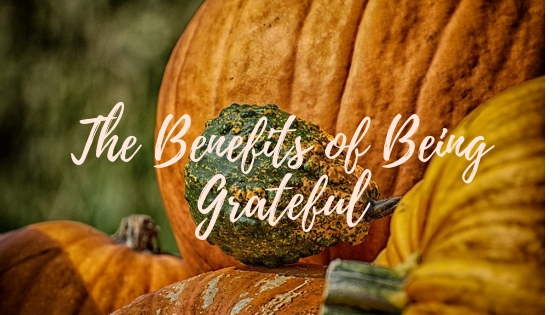 Image of pumpkins and other gourds with the words "The Benefits of Being Grateful" superimposed over the image.